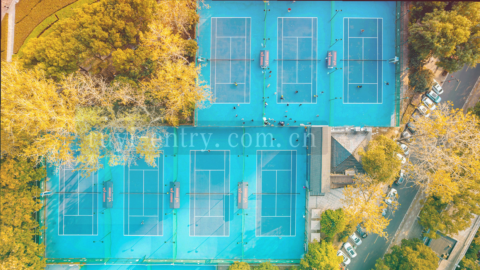 五个入口卡片沿非对称网格排列的抽象图形